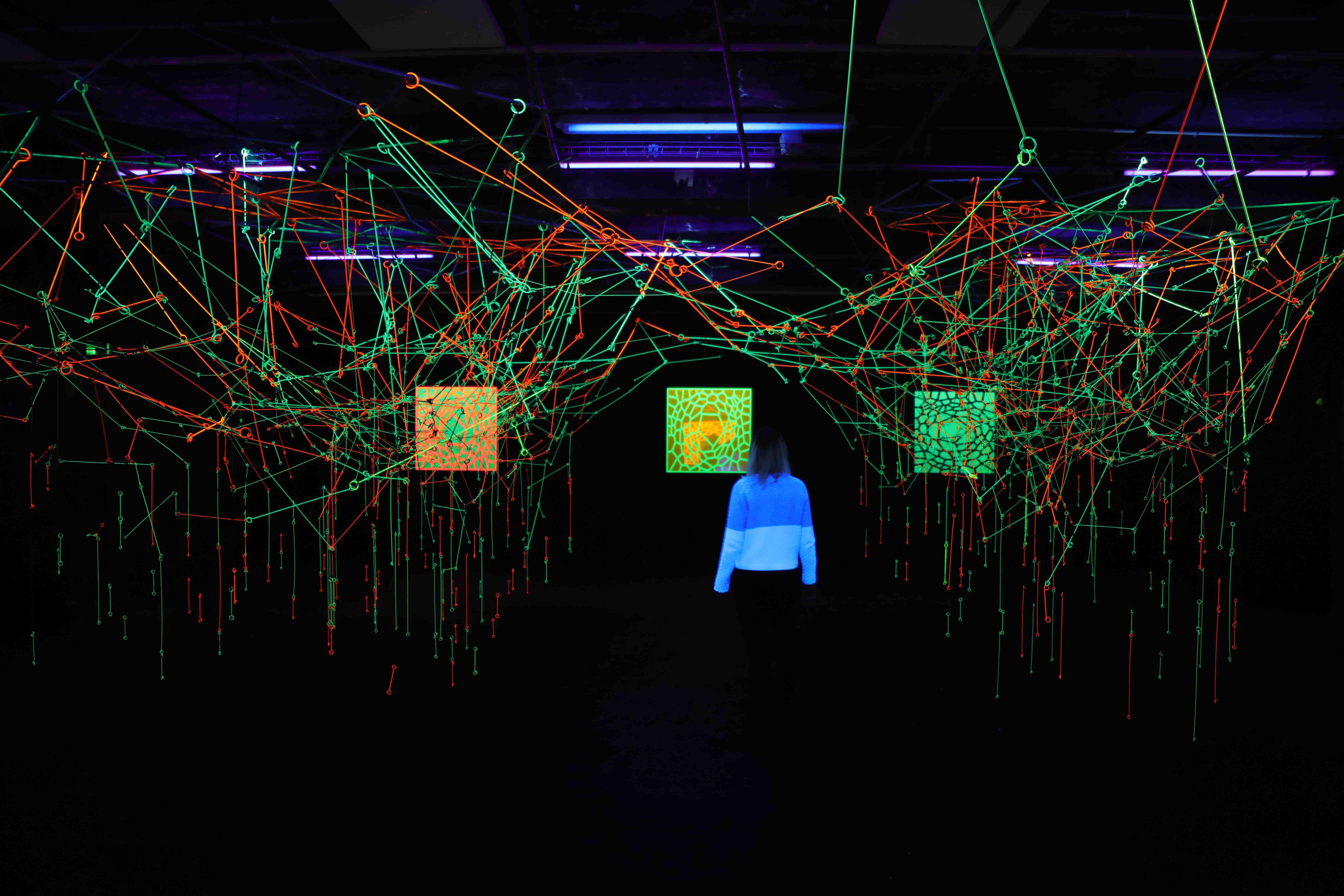 Miguel CHEVALIER, Exposition Digital Abyss