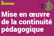 mise en œuvre de la continuité pédagogique