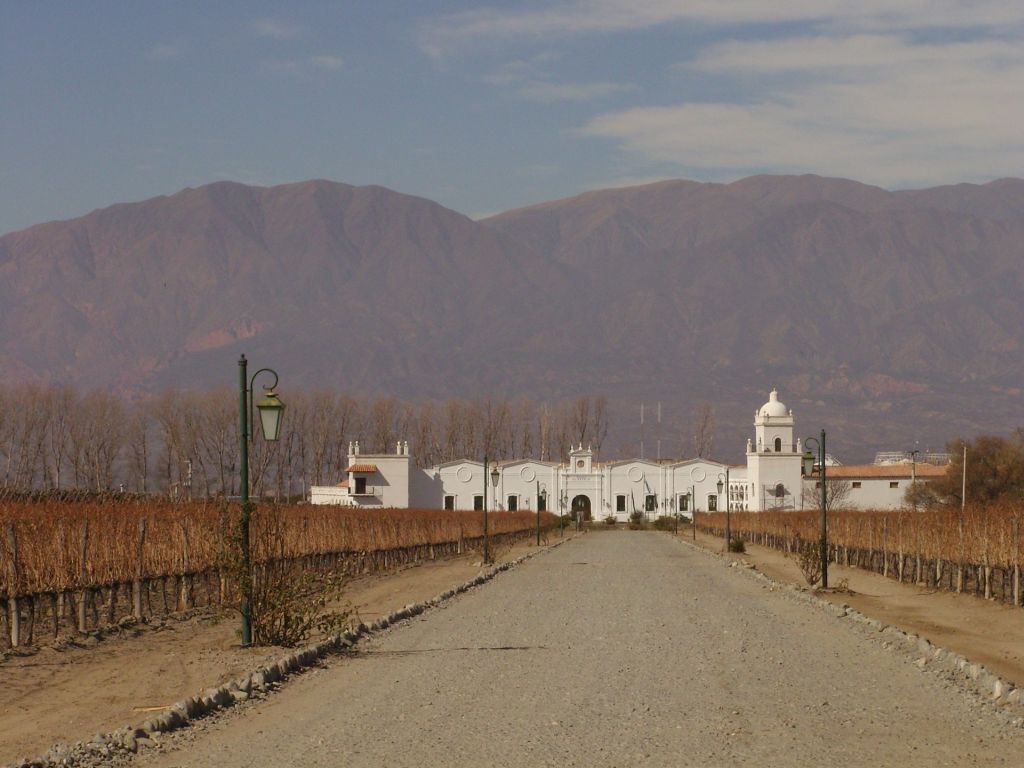 Le vignoble près de Cafayate, au Nord de l'Argentine, pendant l'hiver austral.