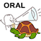 oral-tortue.png