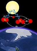 cycle ozone