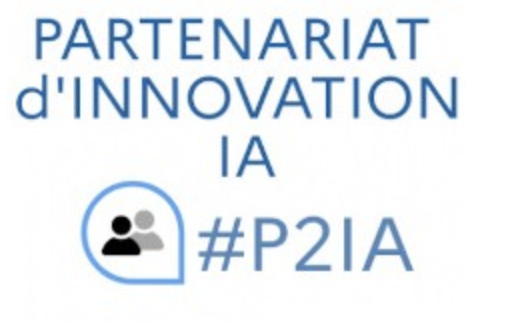 logo p2ia