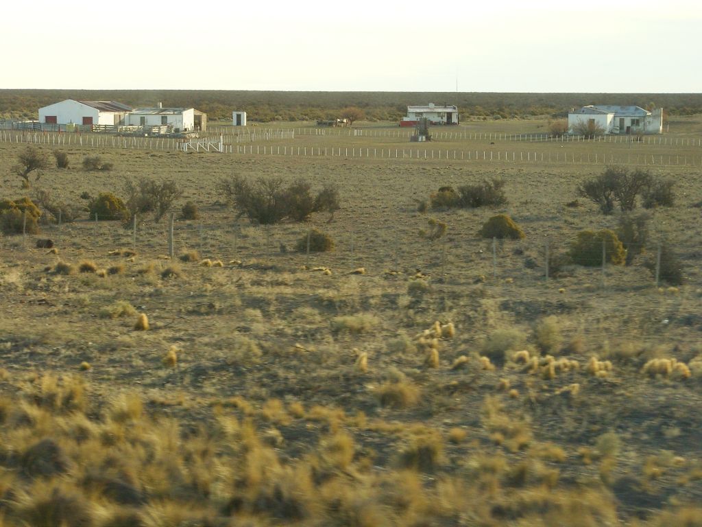 La patagonie centrale, région d'élevage extensif