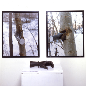 Giuseppe PENONE Alpi Marittime, 1968-1973 2 photographies couleur, Sculpture en bronze 201x98x40 cm Acquisition en 1985