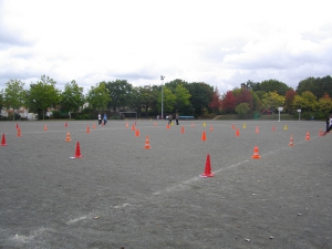 photographie de l'installation des plots