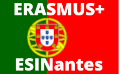 Drapeau du Portugal -ESINantes