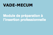 Module de préparation à l'insertion professionnelle