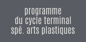 programme du cycle terminal spécialité arts plastiques