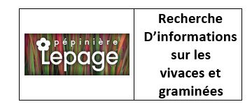 Recherche d'informations sur les vivaces et les graminées.JPG