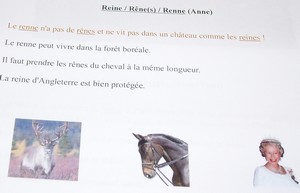 reine, rênes, renne