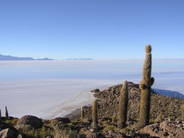 le Salar d'Uyuni depuis l'île Inca Huasi