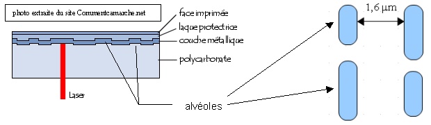 Schéma alvéoles CD