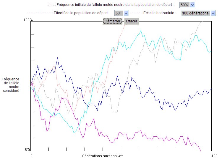 simulateur