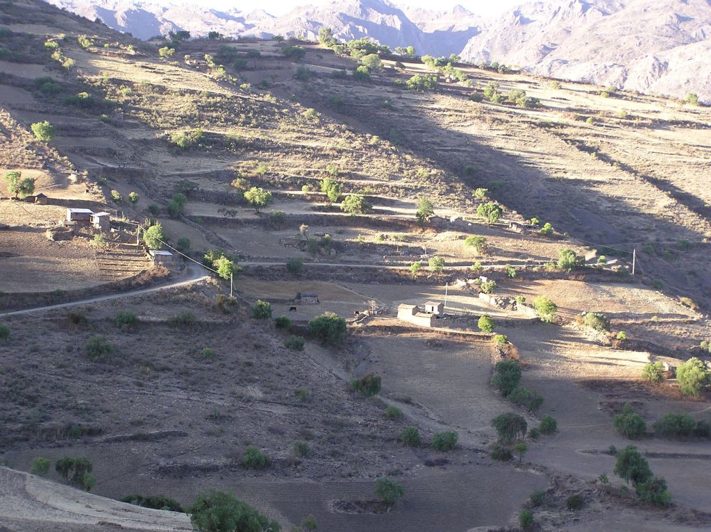 les pentes cultivées