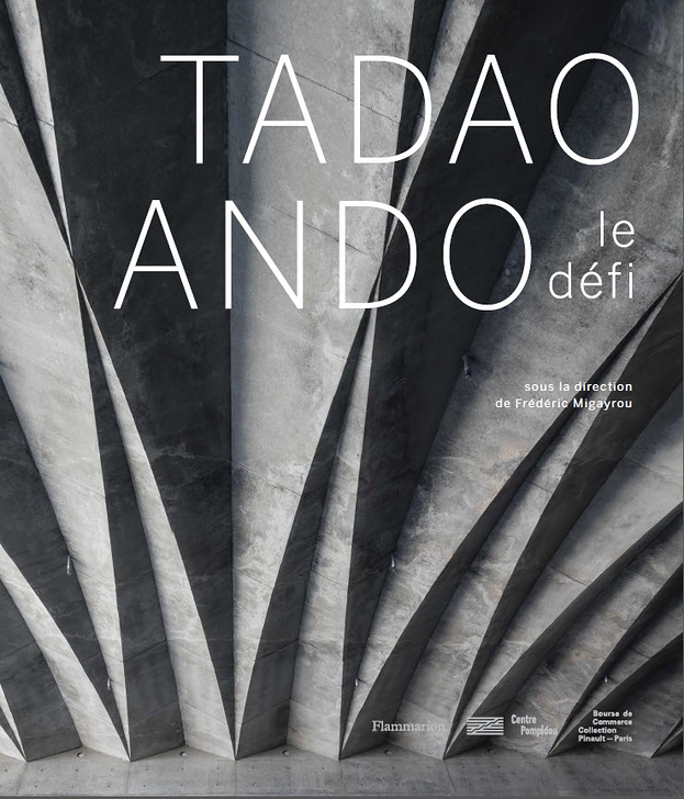 Frédéric MIGAYROU, Tadao Ando, Le défi