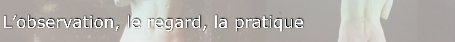 L’observation, le regard, la pratique