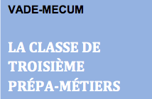 La classe de troisième prépa-métiers