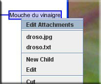 Editer les signets (ou attachements)