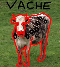 illustration scénario (vache)