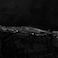 vignette nuances de noir.jpeg