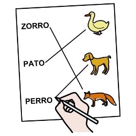 visuel synthèse écrite.jpg