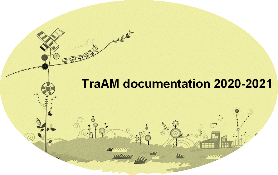 Visuel traam doc 2020-2021